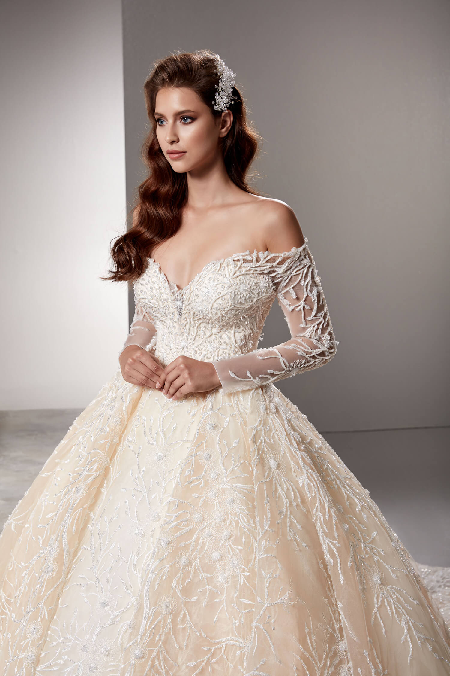Twig Pattern Embroidered Strapless Long Sleeve Ecru Princess Wedding Dress