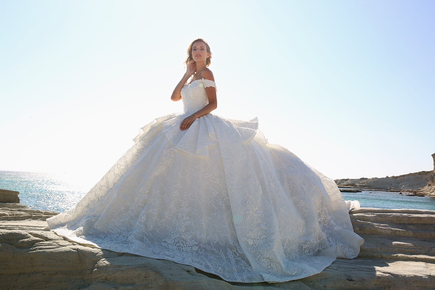 Lace Embroidered Off Shoulder Princess Wedding Dress